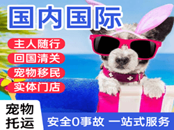 阿鲁科尔沁航空邮寄国际宠物托运 【国